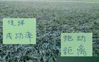 第21轮卫冕冠军传球成功率榜排第二